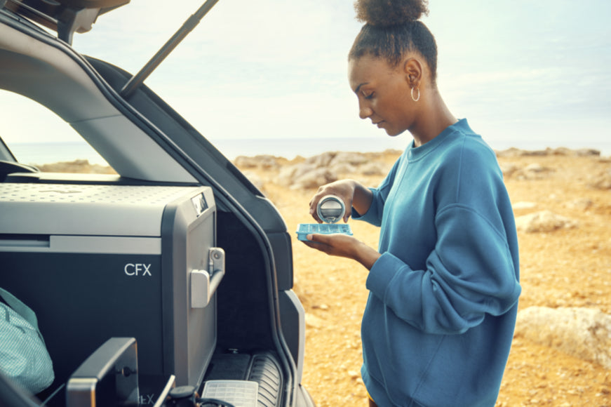 Dometic CFX3 55IM